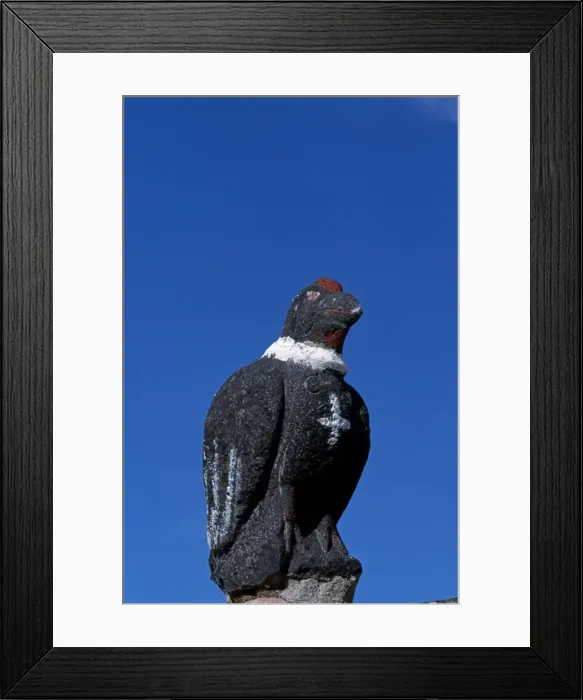 Framed Print : A carved stone condor stands on the gatepost of Framed Print : A carved stone condor stands on the gatepost of