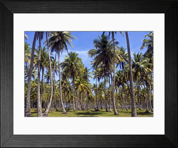 Framed Print : Brazil, Bahia, Boipeba Island Framed Print : Brazil, Bahia, Boipeba Island