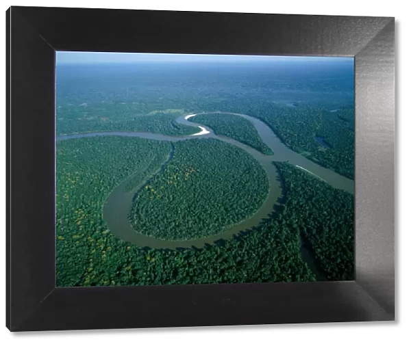 Amazon River  /  Amazon Jungle  /  Aerial View