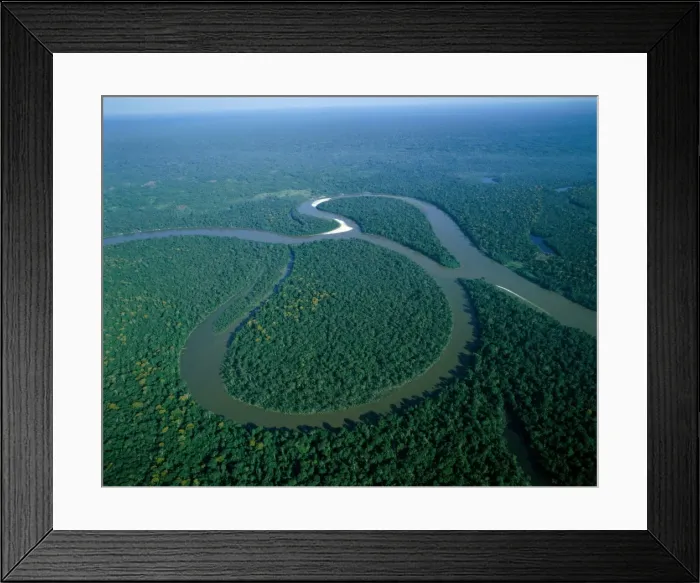 Framed Print : Amazon River / Amazon Jungle / Aerial View Framed Print : Amazon River / Amazon Jungle / Aerial View