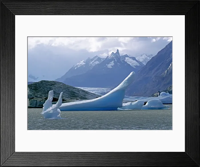 Framed Print : Icebergs in Lago Grey Framed Print : Icebergs in Lago Grey