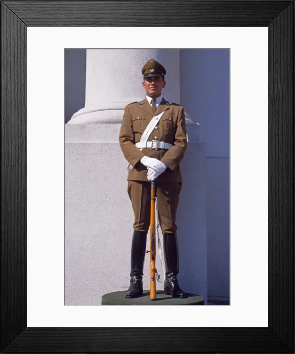 Framed Print : Presidential Guard Framed Print : Presidential Guard