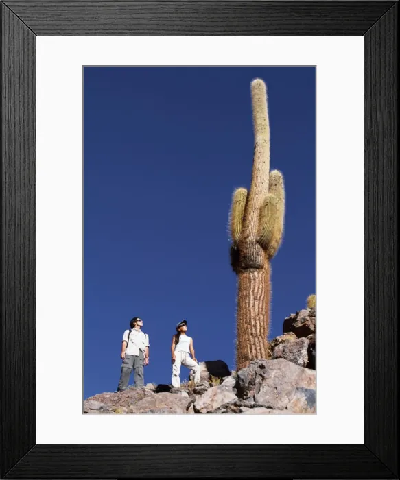 Framed Print : Tourists hiking in the desert look up at a large Cardon cactus Framed Print : Tourists hiking in the desert look up at a large Cardon cactus