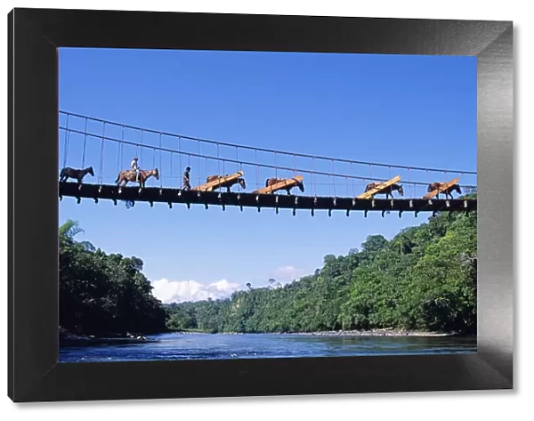 Mule train crossing a bridge over the Rio Upano