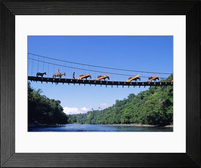 Framed Print : Mule train crossing a bridge over the Rio Upano Framed Print : Mule train crossing a bridge over the Rio Upano