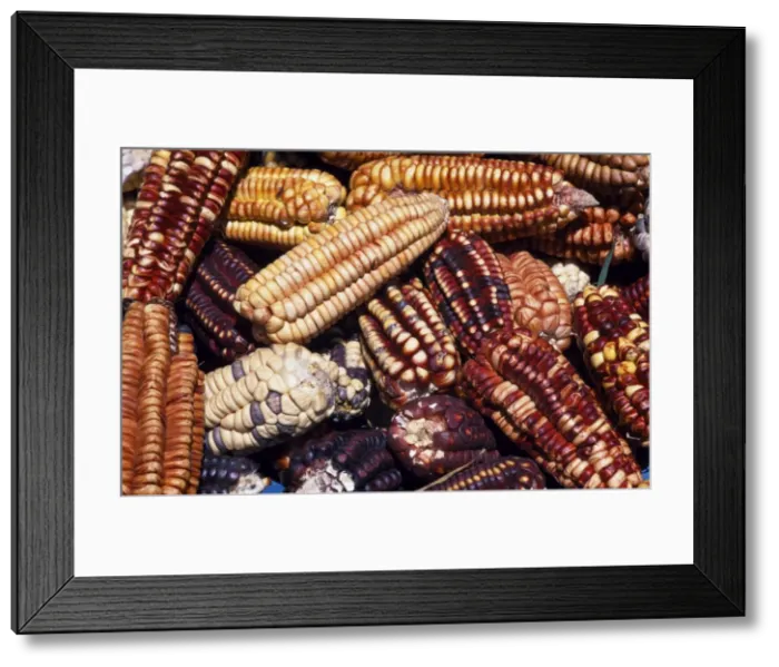 Framed Print : Maize from Pisac market Framed Print : Maize from Pisac market