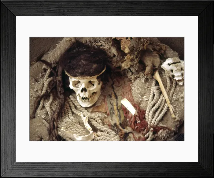 Framed Print : The skull of a Nazca mummy surrounded by pottery Framed Print : The skull of a Nazca mummy surrounded by pottery