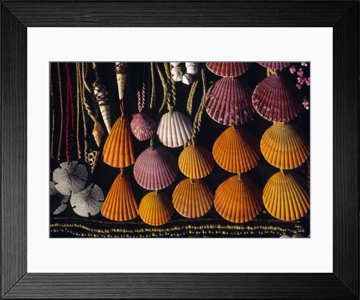Framed Print : Seashell necklaces Framed Print : Seashell necklaces