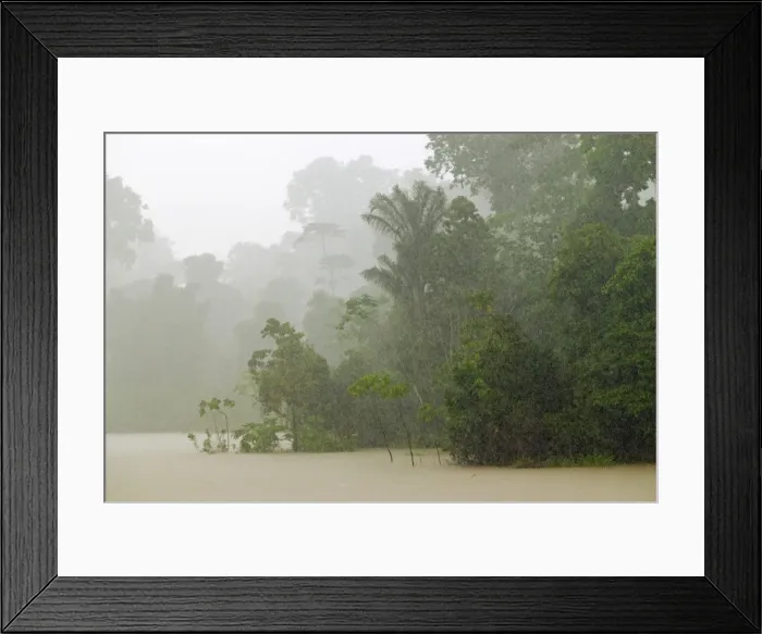 Framed Print : Peru, Amazon, Yavari River Framed Print : Peru, Amazon, Yavari River