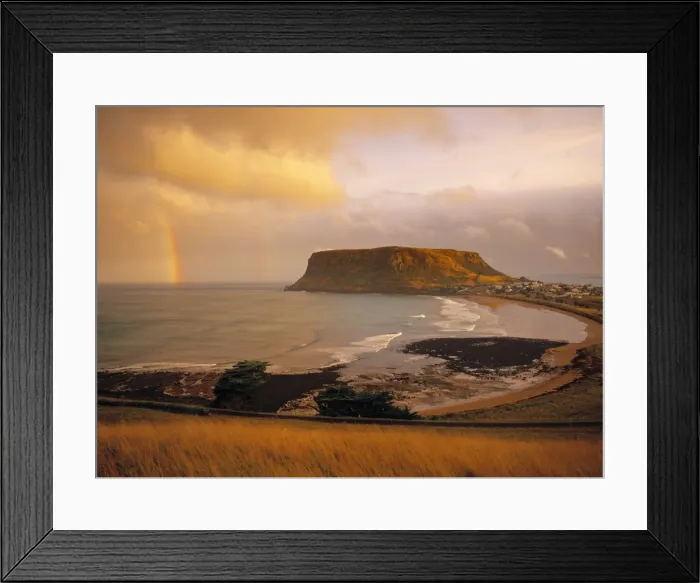 Framed Print : Circular Head Framed Print : Circular Head