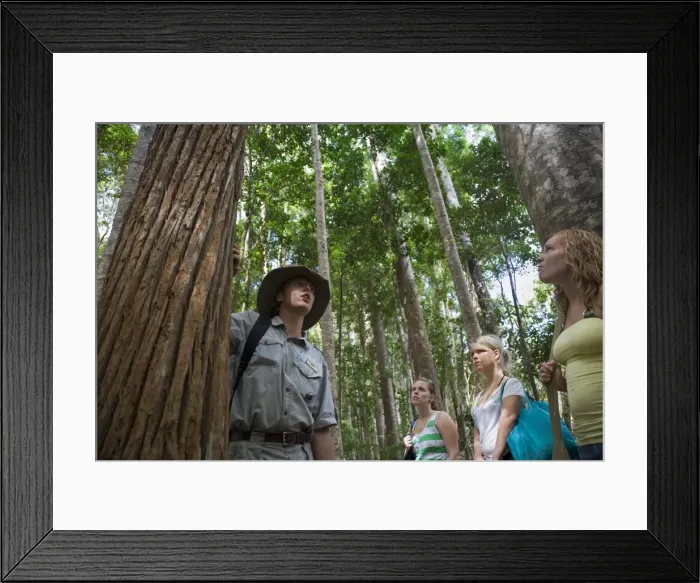 Framed Print : Australia, Queensland, Fraser Island Framed Print : Australia, Queensland, Fraser Island