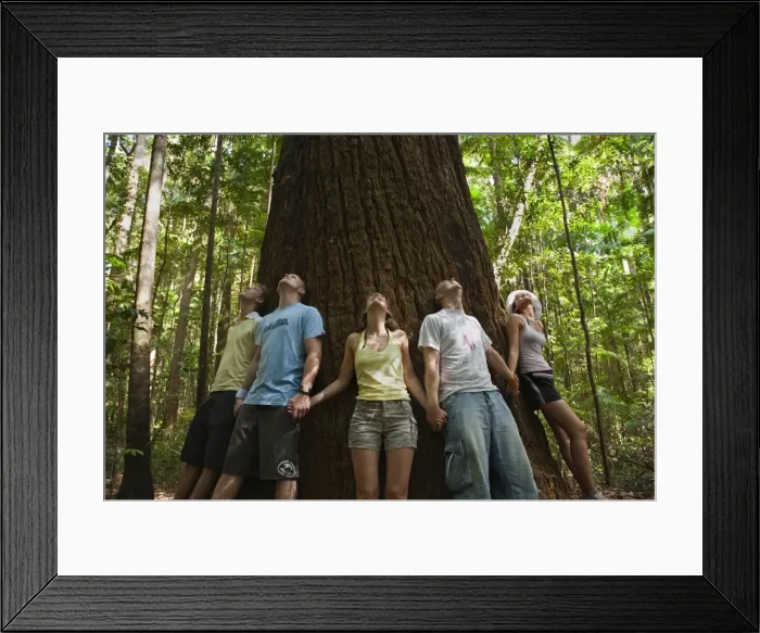 Framed Print : Australia, Queensland, Fraser Island Framed Print : Australia, Queensland, Fraser Island