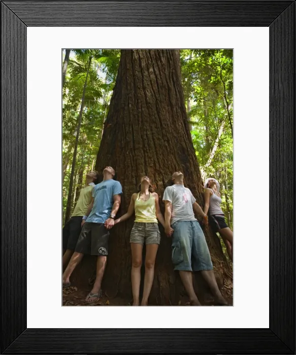 Framed Print : Australia, Queensland, Fraser Island Framed Print : Australia, Queensland, Fraser Island
