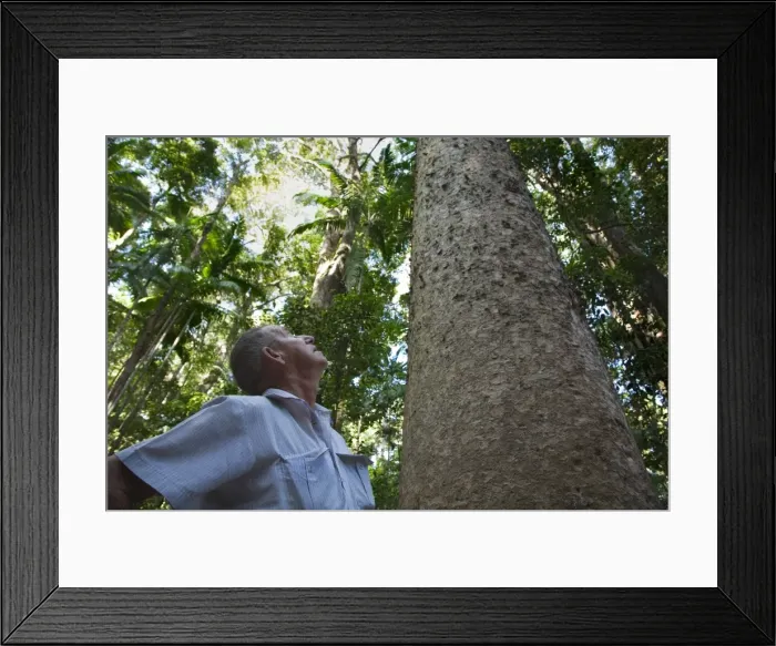 Framed Print : Australia, Queensland, Fraser Island Framed Print : Australia, Queensland, Fraser Island