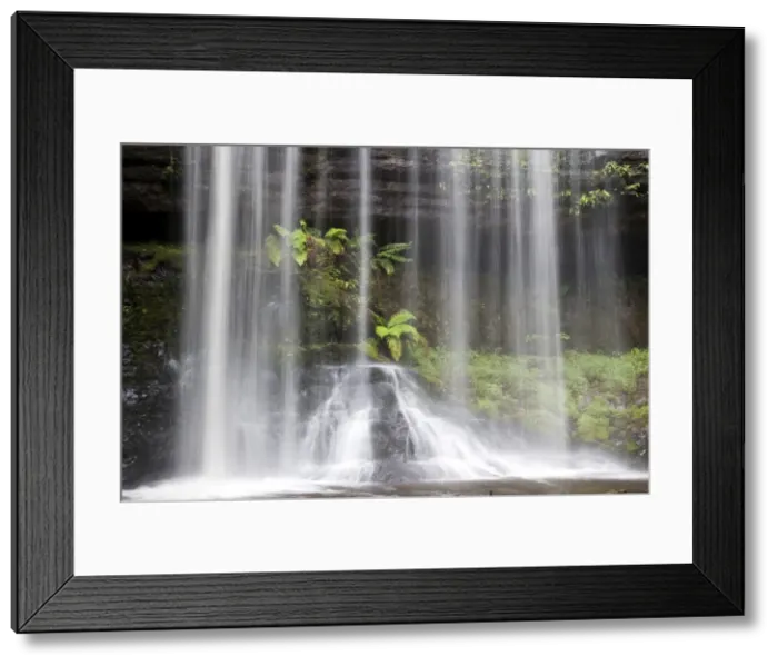 Framed Print : Russell Falls in Mount Field National Park