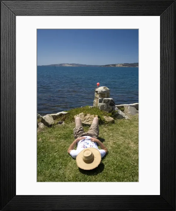 Framed Print : Taking a siesta in the sun Framed Print : Taking a siesta in the sun