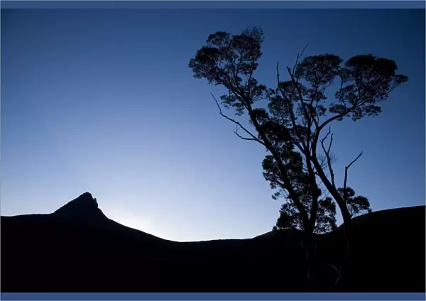 Barn Bluff seen from Waterfall Valley on the Overland Track