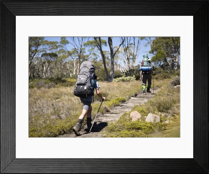 Framed Print : Hiking the Overland Track Framed Print : Hiking the Overland Track
