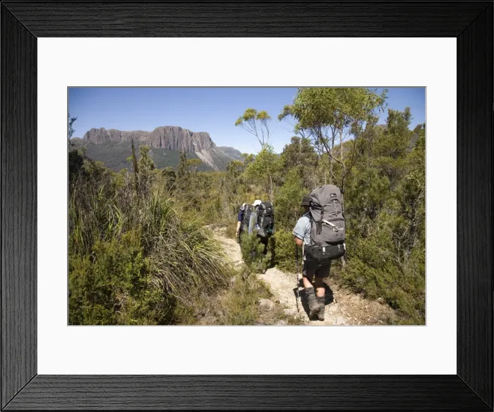 Framed Print : Hiking the Overland Track Framed Print : Hiking the Overland Track