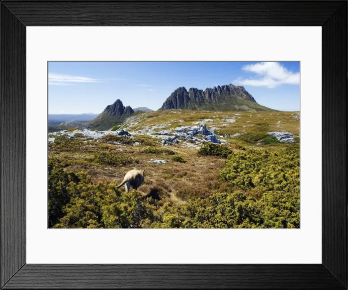 Framed Print : Australia, Tasmania Framed Print : Australia, Tasmania