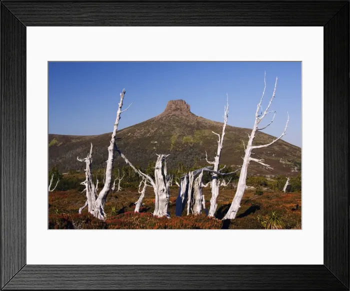 Framed Print : Australia, Tasmania Framed Print : Australia, Tasmania