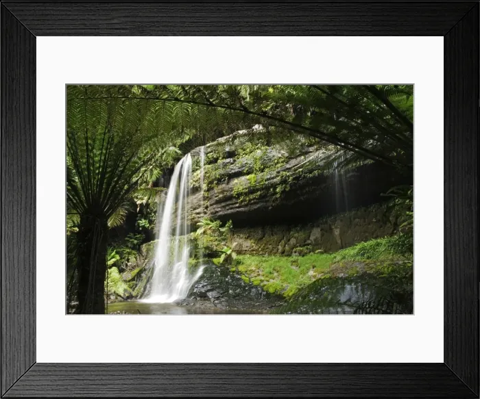 Framed Print : Australia, Tasmania, Mount Fields National Park Framed Print : Australia, Tasmania, Mount Fields National Park