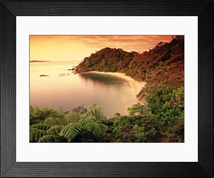 Framed Print : Whale Bay, Northland Framed Print : Whale Bay, Northland