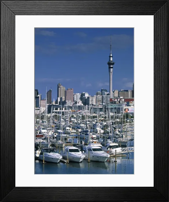 Framed Print : Westhaven Marina Framed Print : Westhaven Marina