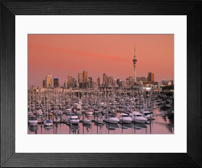 Framed Print : Westhaven Marina Framed Print : Westhaven Marina