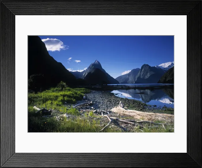Framed Print : Milford Sound Framed Print : Milford Sound