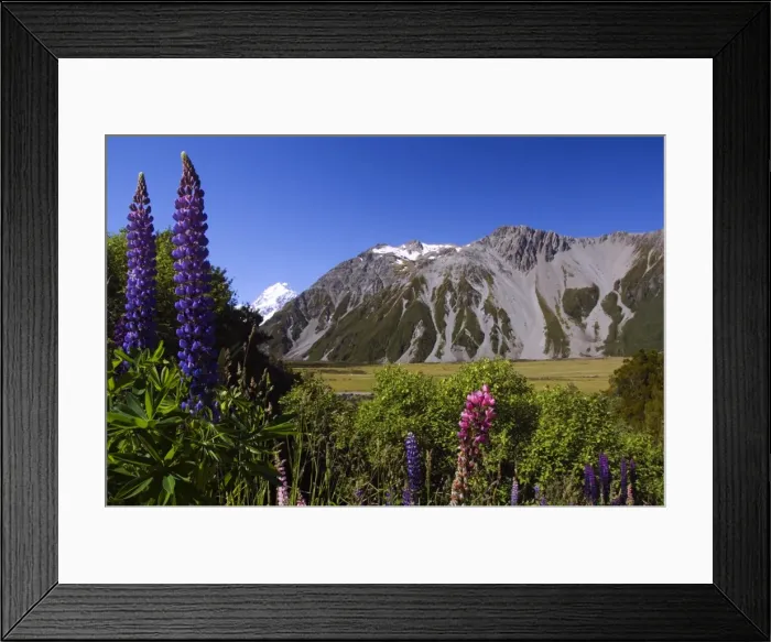 Framed Print : New Zealand, South Island, Mackenzie Country