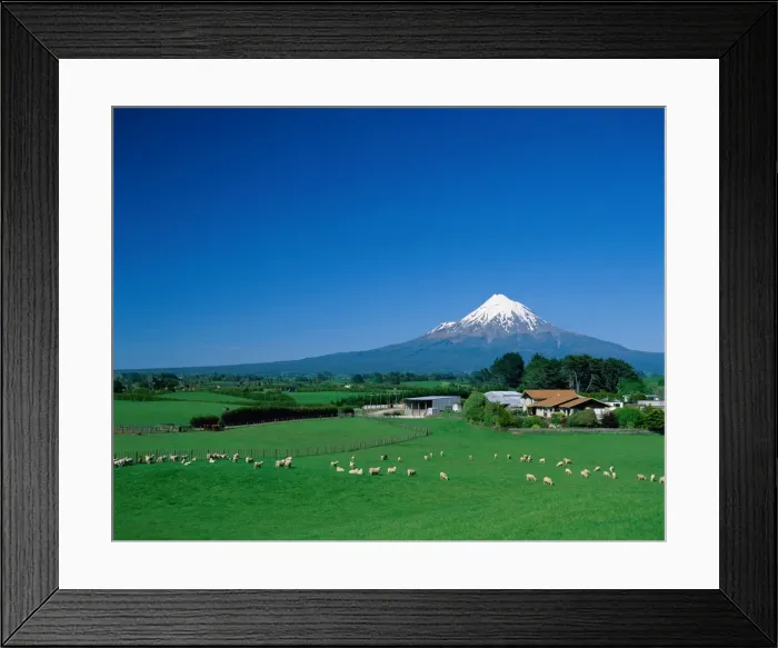 Framed Print : Egmont National Park  /  Mt
