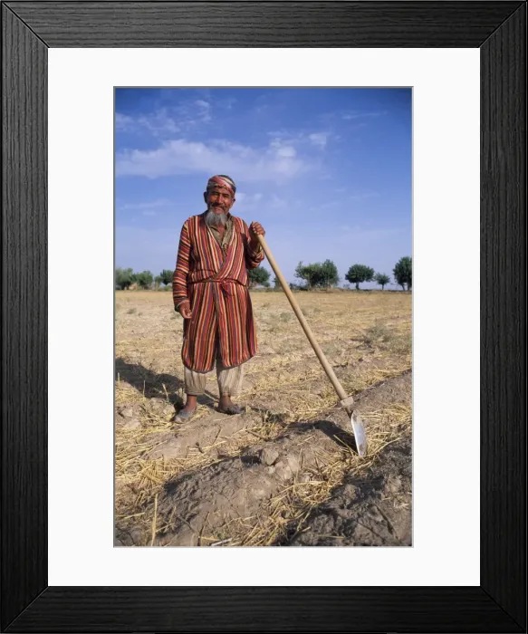 Framed Print : Uzbek man with hoe in a field Framed Print : Uzbek man with hoe in a field