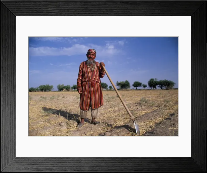 Framed Print : Uzbek man with hoe in a field Framed Print : Uzbek man with hoe in a field