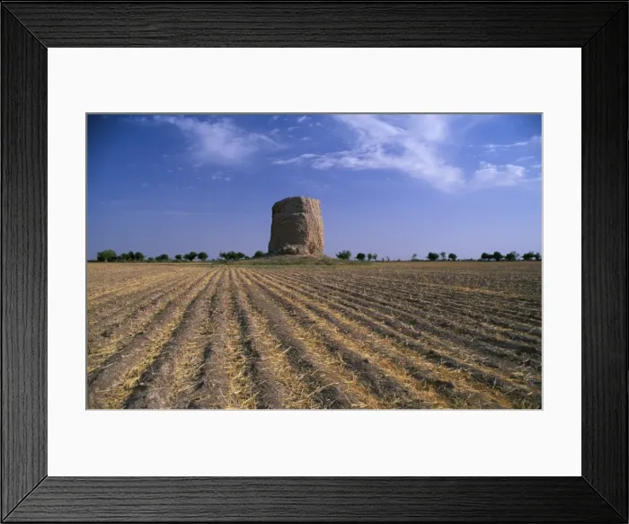 Framed Print : Buddhist stupa Framed Print : Buddhist stupa