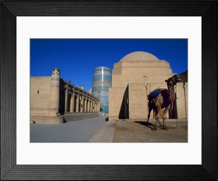 Framed Print : A camel stands tethered in the Ichan Kala Framed Print : A camel stands tethered in the Ichan Kala