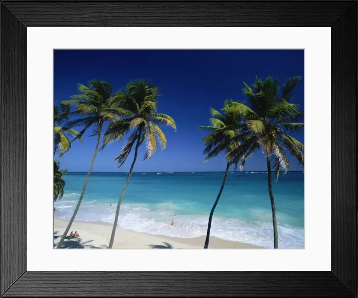 Framed Print : Caribbean, Barbados Framed Print : Caribbean, Barbados
