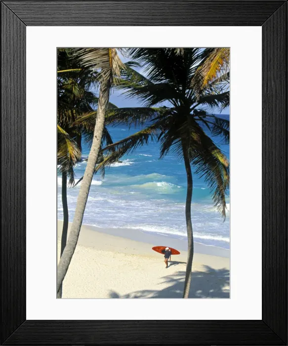 Framed Print : Bottom Bay Framed Print : Bottom Bay