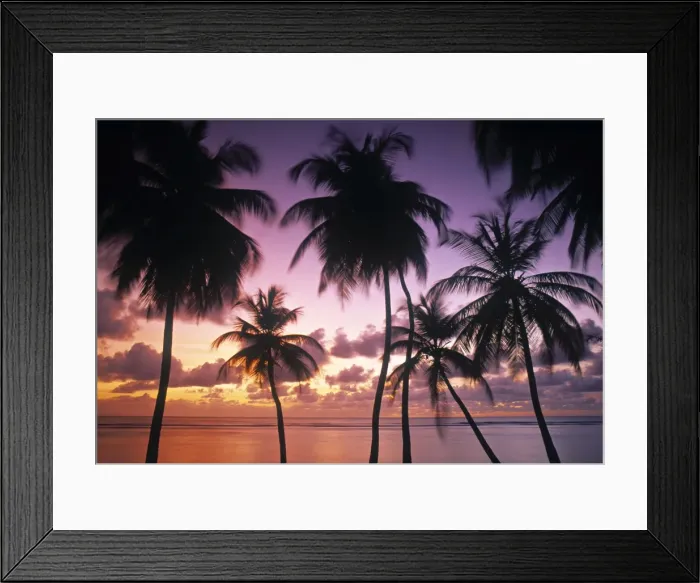 Framed Print : Pigeon Point, Tobago, Trinidad & Tobago Framed Print : Pigeon Point, Tobago, Trinidad & Tobago