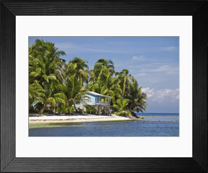 Framed Print : Belize, Ranguana Caye Framed Print : Belize, Ranguana Caye