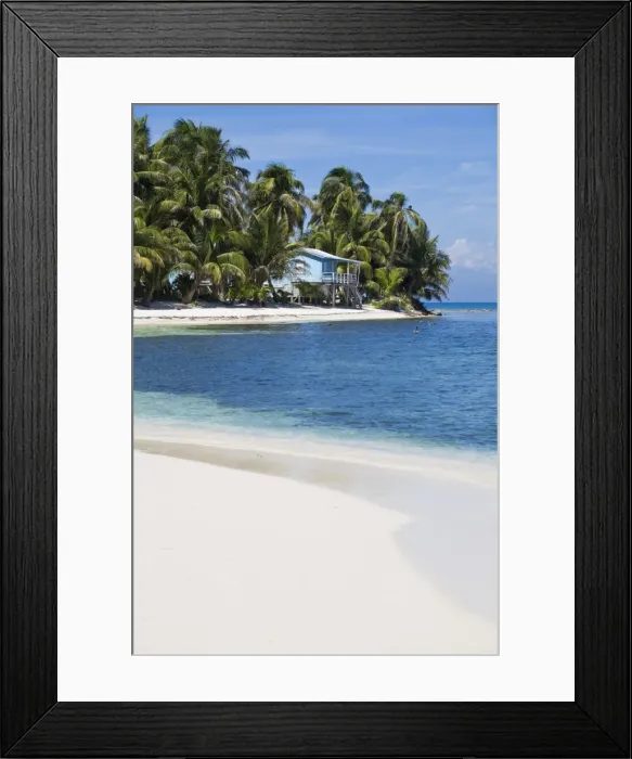 Framed Print : Belize, Ranguana Caye Framed Print : Belize, Ranguana Caye