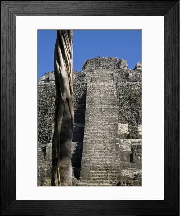 Framed Print : Belize, Lamanai Framed Print : Belize, Lamanai