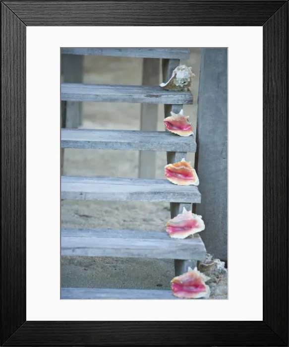 Framed Print : Steps, Caye Caulker, Belize Framed Print : Steps, Caye Caulker, Belize