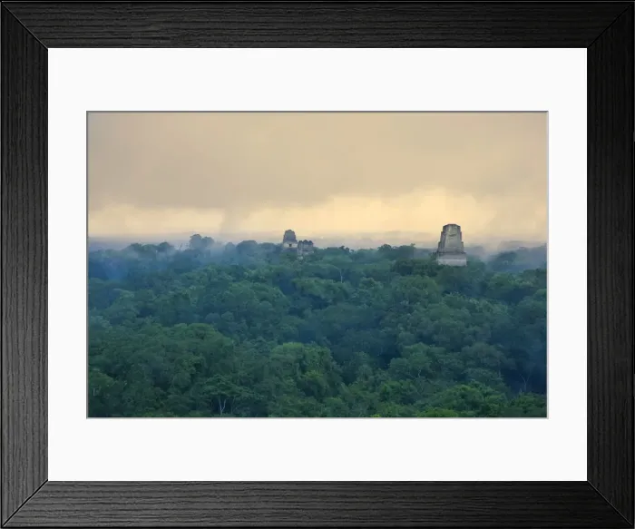 Framed Print : Tikal Pyramid ruins (UNESCO site) and rainforest Framed Print : Tikal Pyramid ruins (UNESCO site) and rainforest