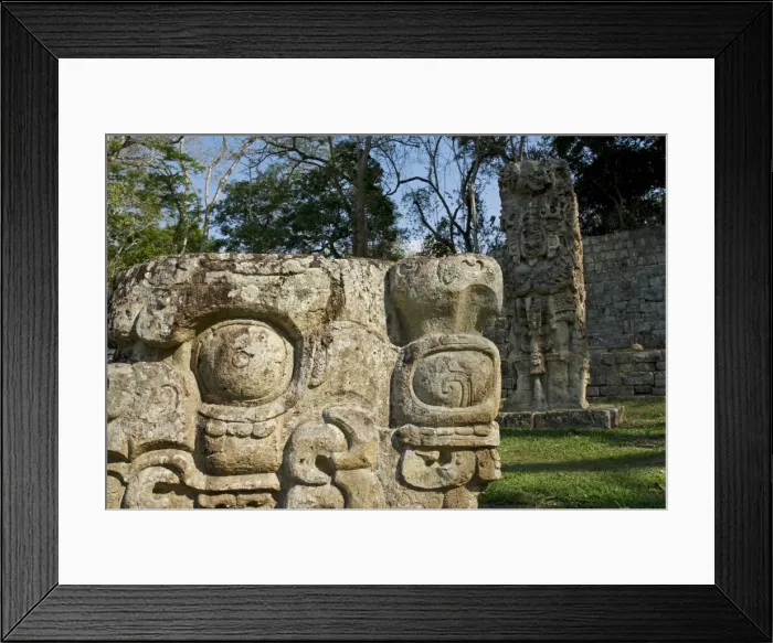 Framed Print : Honduras, Copan, Maya Ruins of Copan, a UNESCO World Heritage Site Framed Print : Honduras, Copan, Maya Ruins of Copan, a UNESCO World Heritage Site