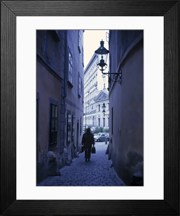 Framed Print : Vienna, Austria Framed Print : Vienna, Austria