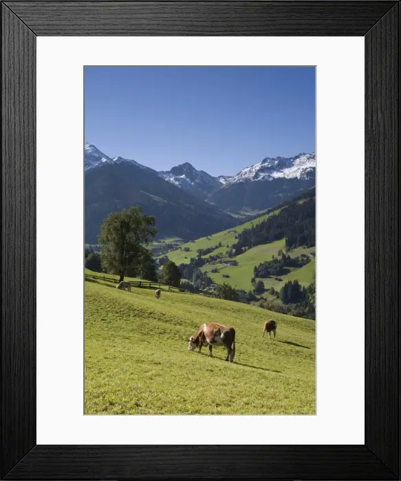 Framed Print : Alpbach, Tirol Framed Print : Alpbach, Tirol
