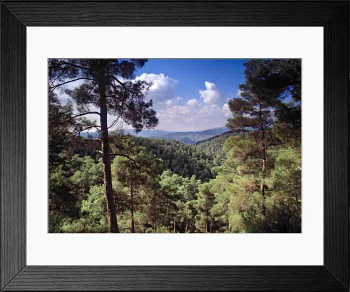 Framed Print : Troodos Mountains Framed Print : Troodos Mountains