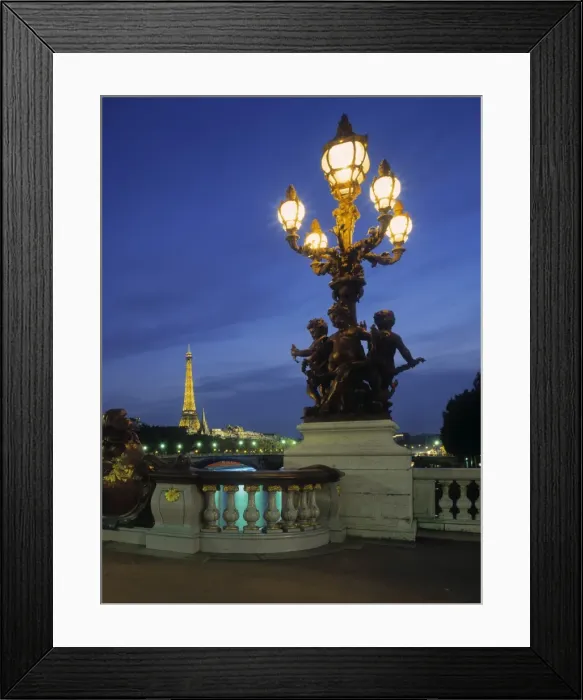 Framed Print : Pont Alexandra III Framed Print : Pont Alexandra III