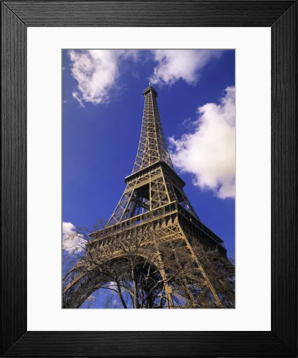 Framed Print : Eiffel Tower Framed Print : Eiffel Tower